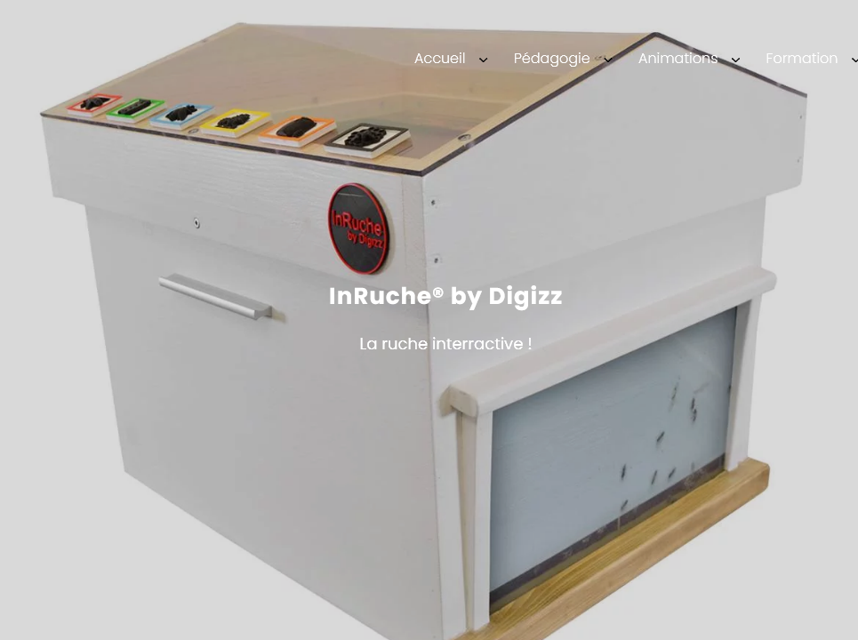 Image inruche